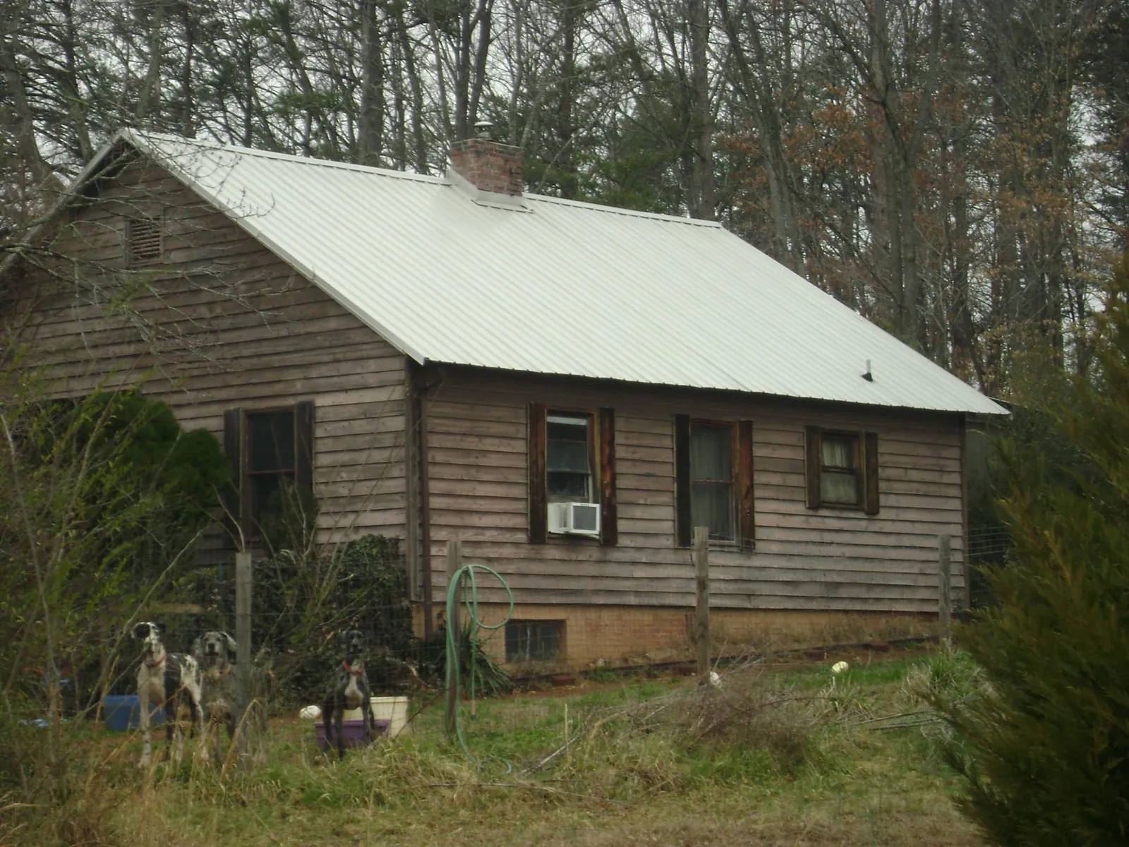 White metal roof on an old wood sided farmhouse, from a Asphalt Shingle Roof Repair job in Clifton Park